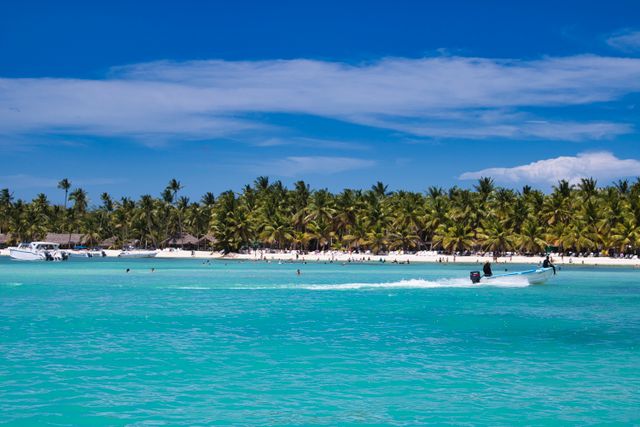 Vibrant tropical beach scene with boats, coconut trees, and turquoise water under a clear blue sky.