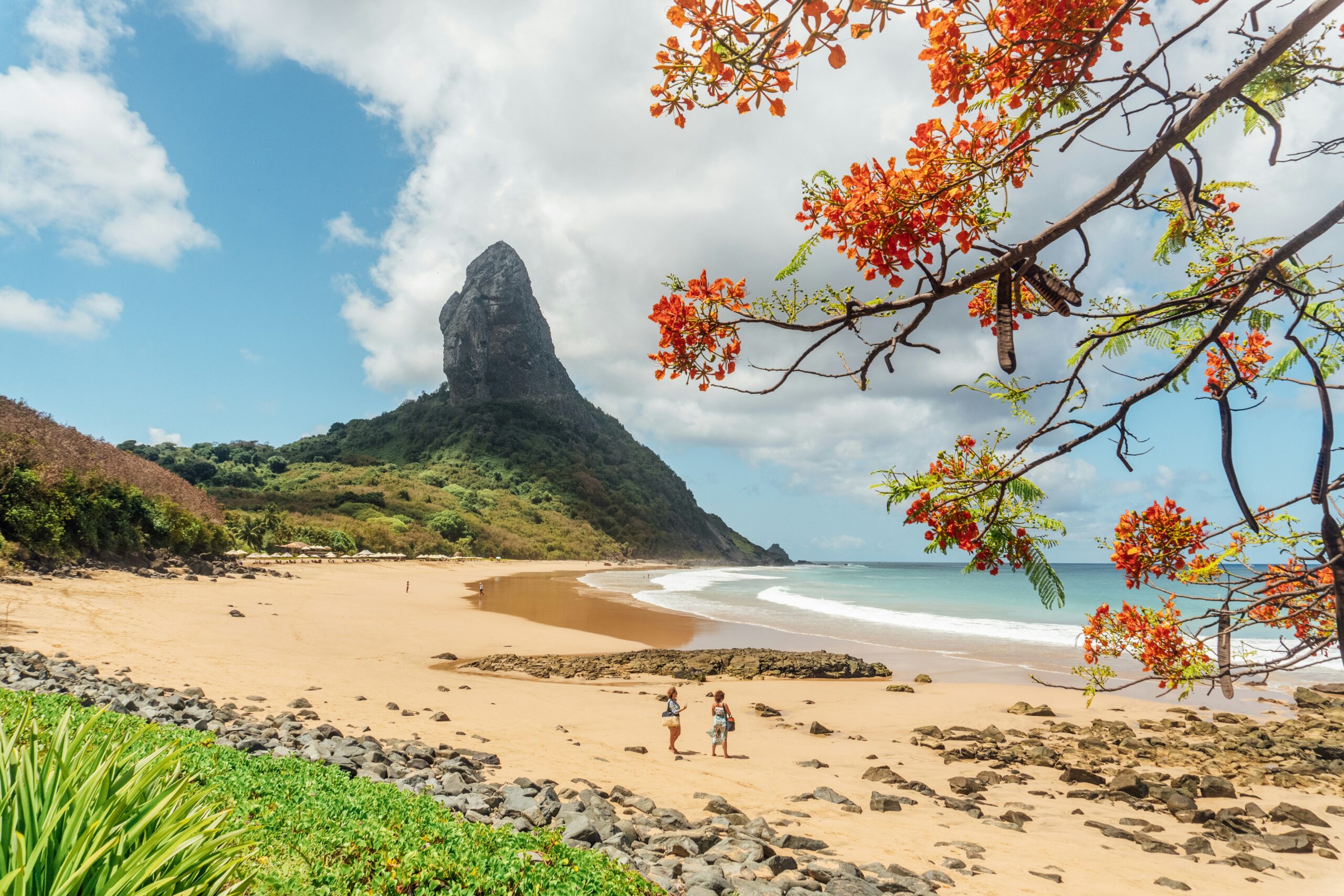 ze paulo 8dfh3oy8vvc unsplash